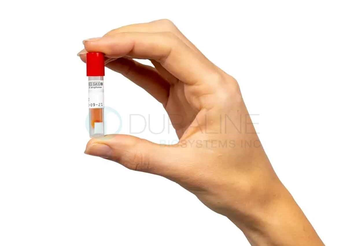 AN2203 EZ Test Biological Indicator